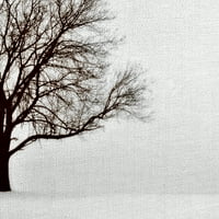 Remek-djelo Umjetnička galerija zimski san od drveta Ilone Wellmann Canvas Photo Art Print 22 28