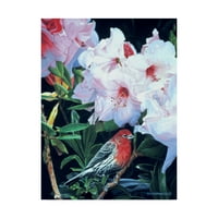 Zaštitni znak Likovne umjetnosti 'Kuća Finch i Rododendron' umjetnost Ron Parker