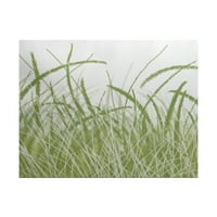 Jednostavno tratinčica 3' 5 ' morska trava cvjetni print zatvoreni ćilim