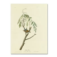 Zaštitni znak Likovne umjetnosti 'Chipping Sparrowplate 104' Canvas Art Audubon