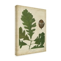 Zaštitni znak likovne umjetnosti' hrastovo lišće i žir III ' umjetnost na platnu Johna Torreya